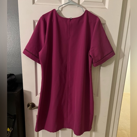 Fuschia Ann Taylor shift dress- XXL - Picture 2 of 5